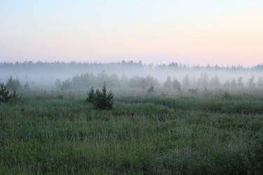 Similar image 5638262