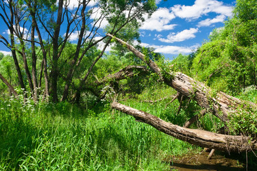 Similar image 5638460