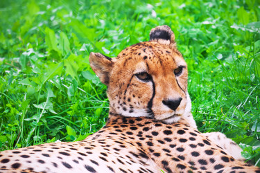 Similar image 5638465