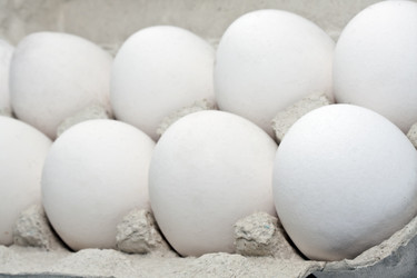 Similar image 5638475