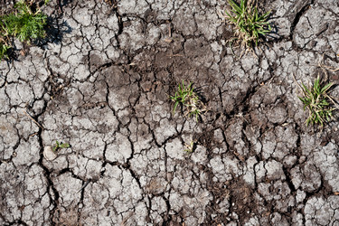 Similar image 5638477