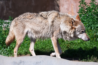 Similar image 5638532