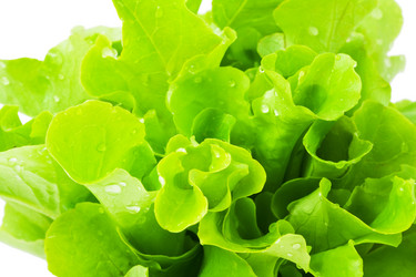 Similar image 5638622