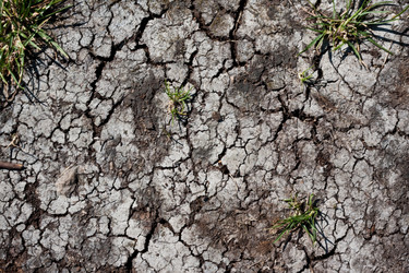 Similar image 5638629