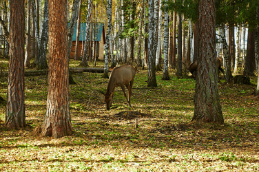 Similar image 5639252