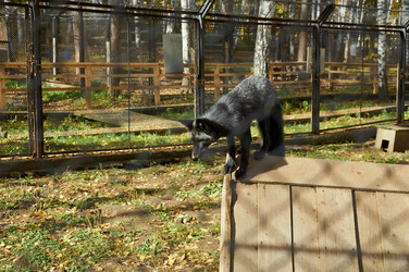 Similar image 5639253