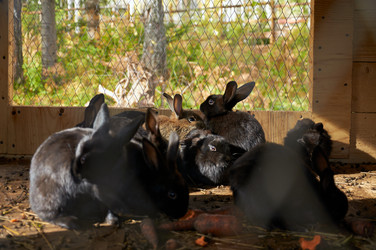 Similar image 5639254