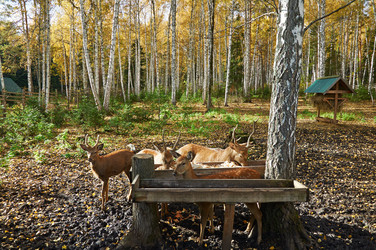 Similar image 5639256