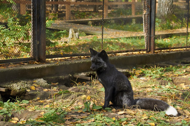 Similar image 5639257