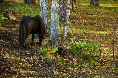 Similar image 5639258