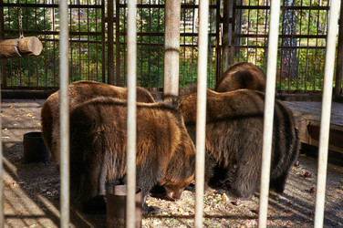 Similar image 5639260