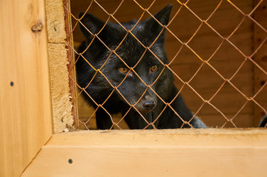 Similar image 5639342