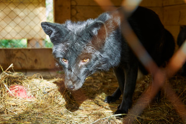 Similar image 5639343