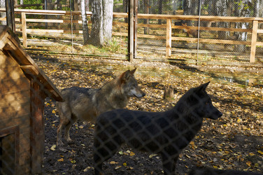 Similar image 5639344