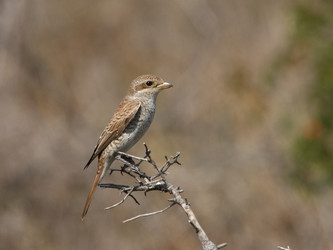 Similar image 5639347