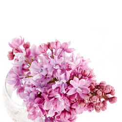 Similar image 5639434