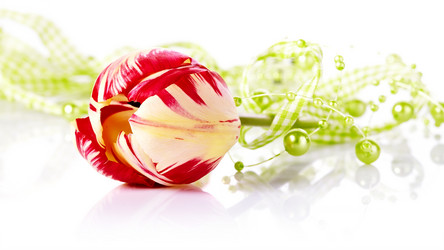 Similar image 5639438