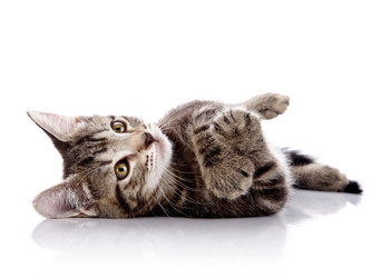 Similar image 5639441