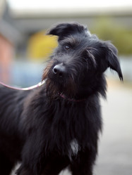 Similar image 5639442