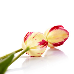 Similar image 5639443