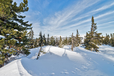 Similar image 5639499