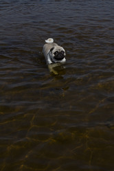 Similar image 5639567