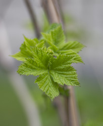 Similar image 5639576