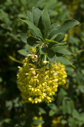 Similar image 5639575