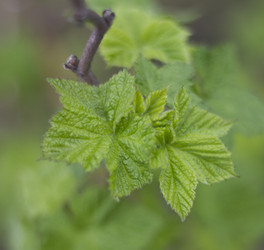 Similar image 5639580