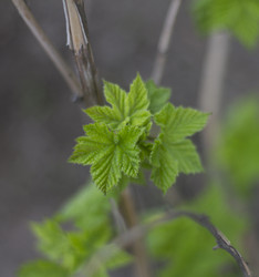 Similar image 5639584