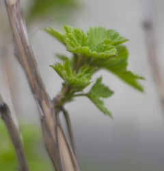 Similar image 5639585