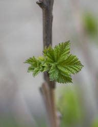 Similar image 5639588