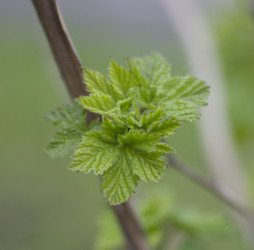 Similar image 5639590