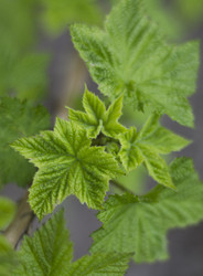 Similar image 5639591