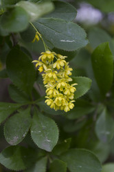 Similar image 5639592