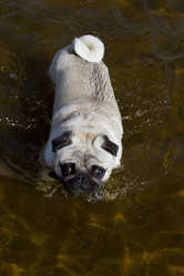 Similar image 5639593