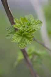 Similar image 5639596