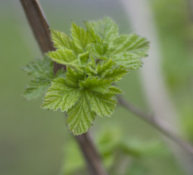 Similar image 5639599