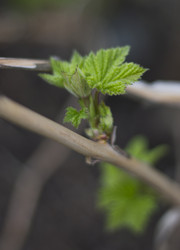 Similar image 5639600