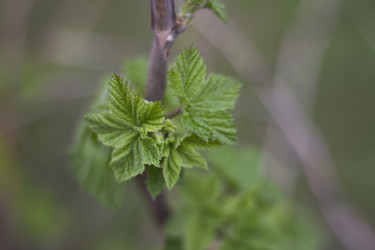 Similar image 5639602