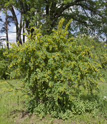 Similar image 5639605