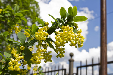 Similar image 5639607