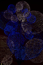 Similar image 5639610