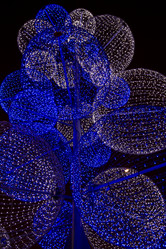 Similar image 5639620