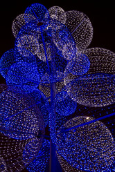 Similar image 5639628