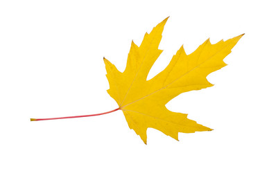 Similar image 5639698