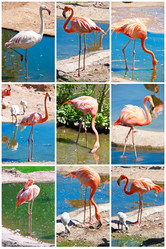 Similar image 5639699