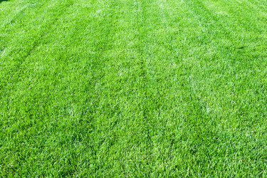 Similar image 5639700