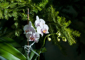 Similar image 5639709