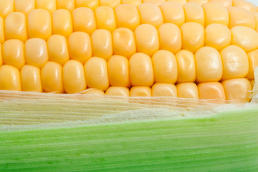 Similar image 5639714